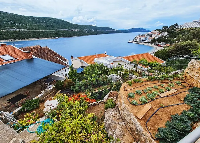 Pensión Davorka Neum