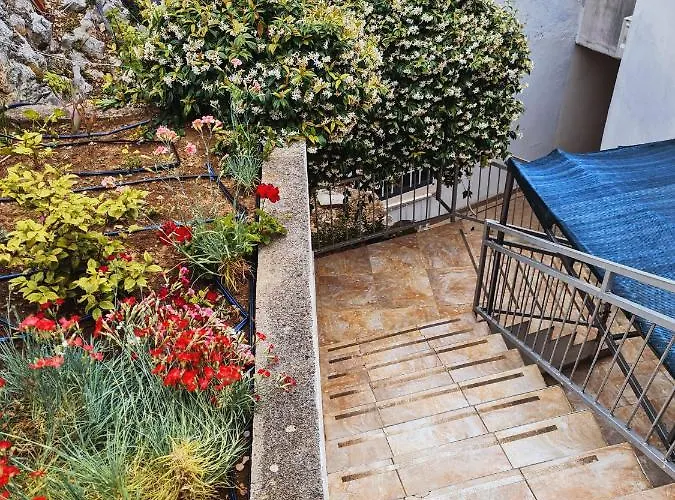 Davorka Pensión Neum